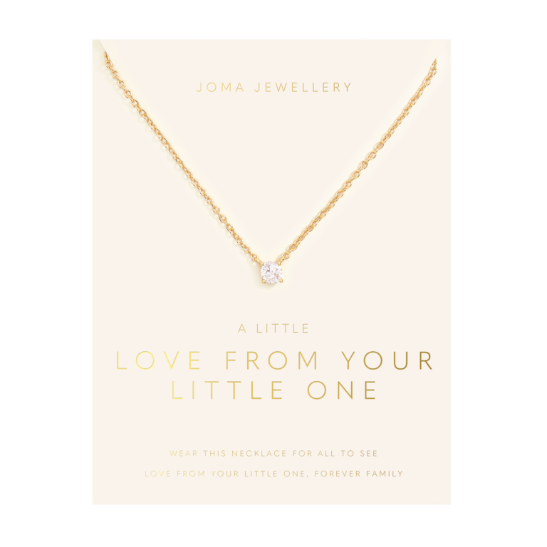 Love From Your Little Ones 'One' Necklace In Gold Plating