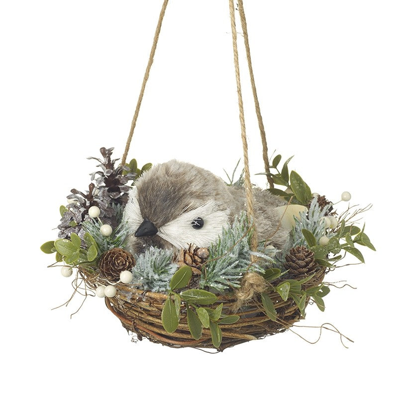 Bird Nesting In Hanging Christmas Basket