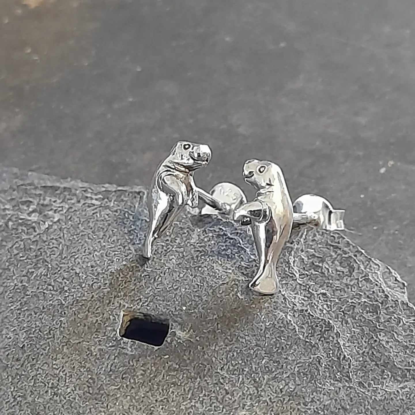 Sea Lion Studs