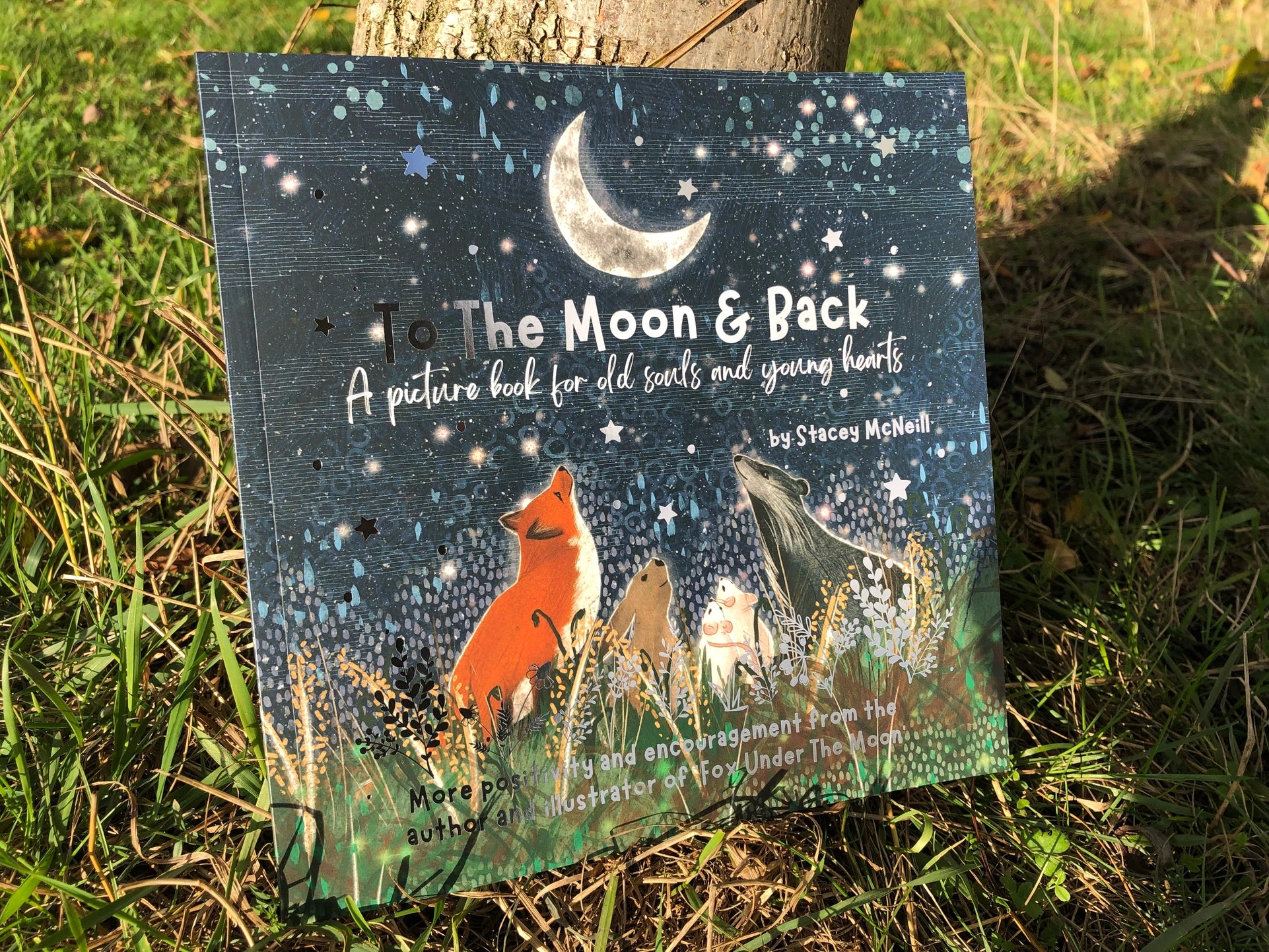 Book:'to the Moon & Back' from 'Fox Under The Moon'