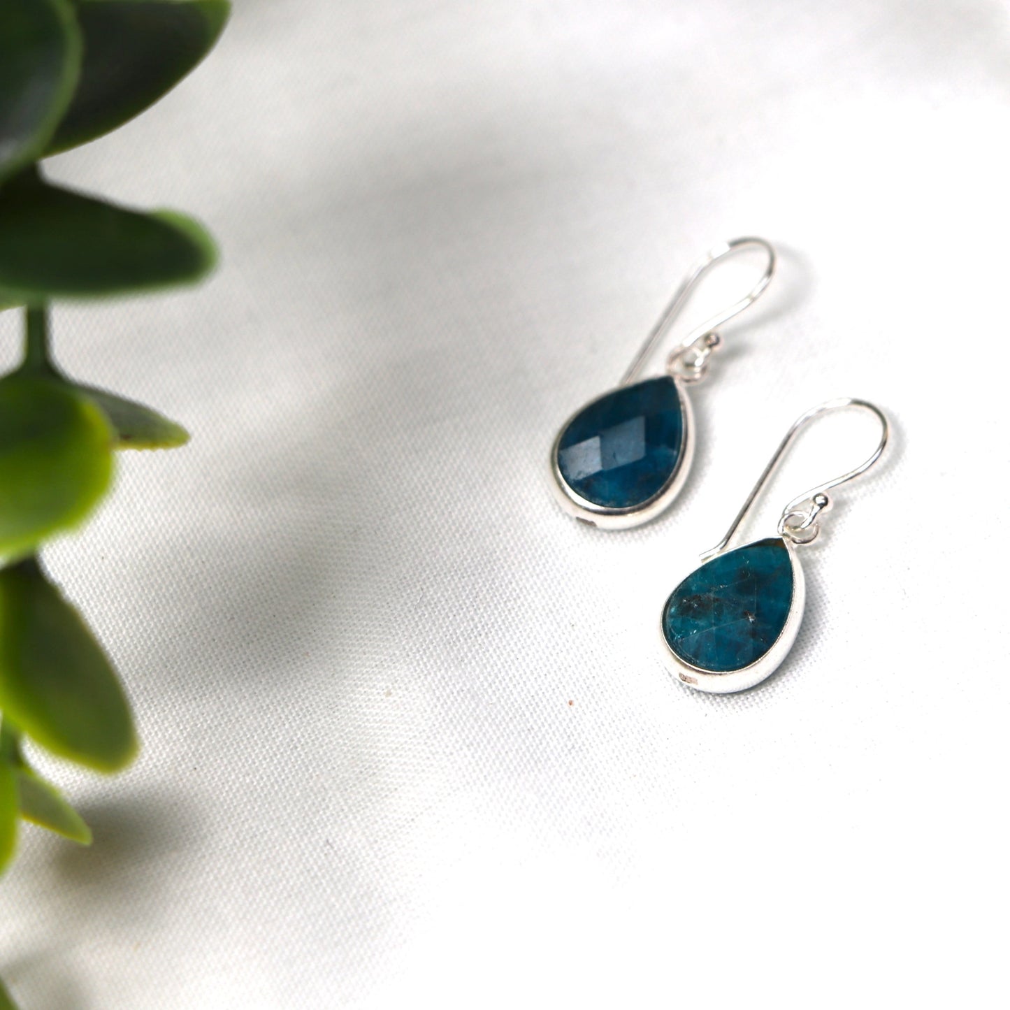 Deep Water Dreams Earrings