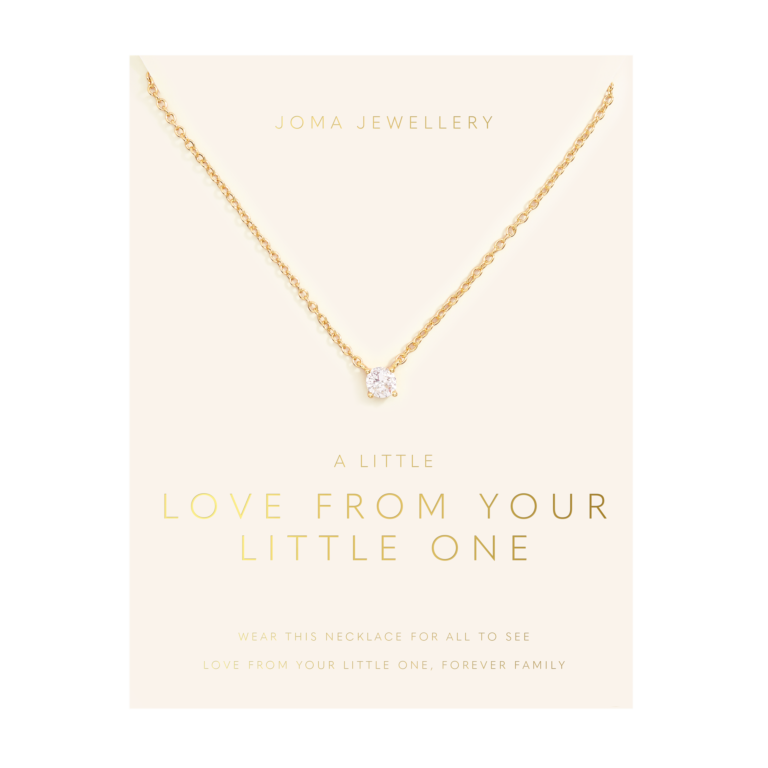 Love From Your Little Ones 'One' Necklace In Gold Plating