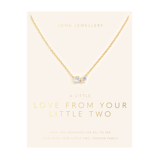 Love From Your Little Ones 'Two' Necklace In Gold Plating