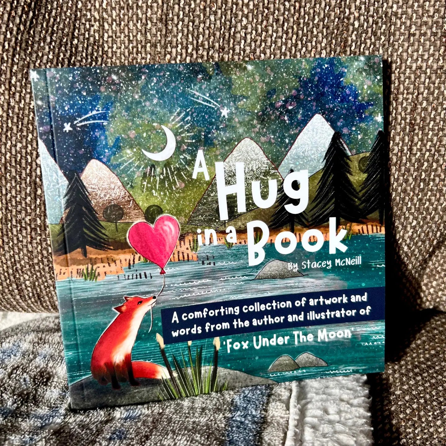 Hug in A Book Mini Book