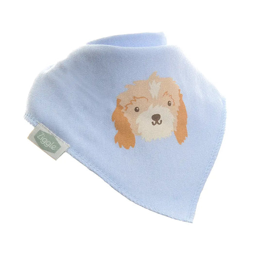 Cockapoo Puppy