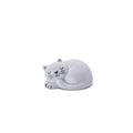 Pawfect Cat Token