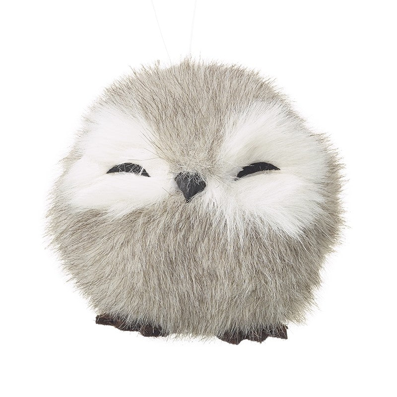 Fluffy Round Bird