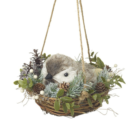 Bird Nesting In Hanging Christmas Basket