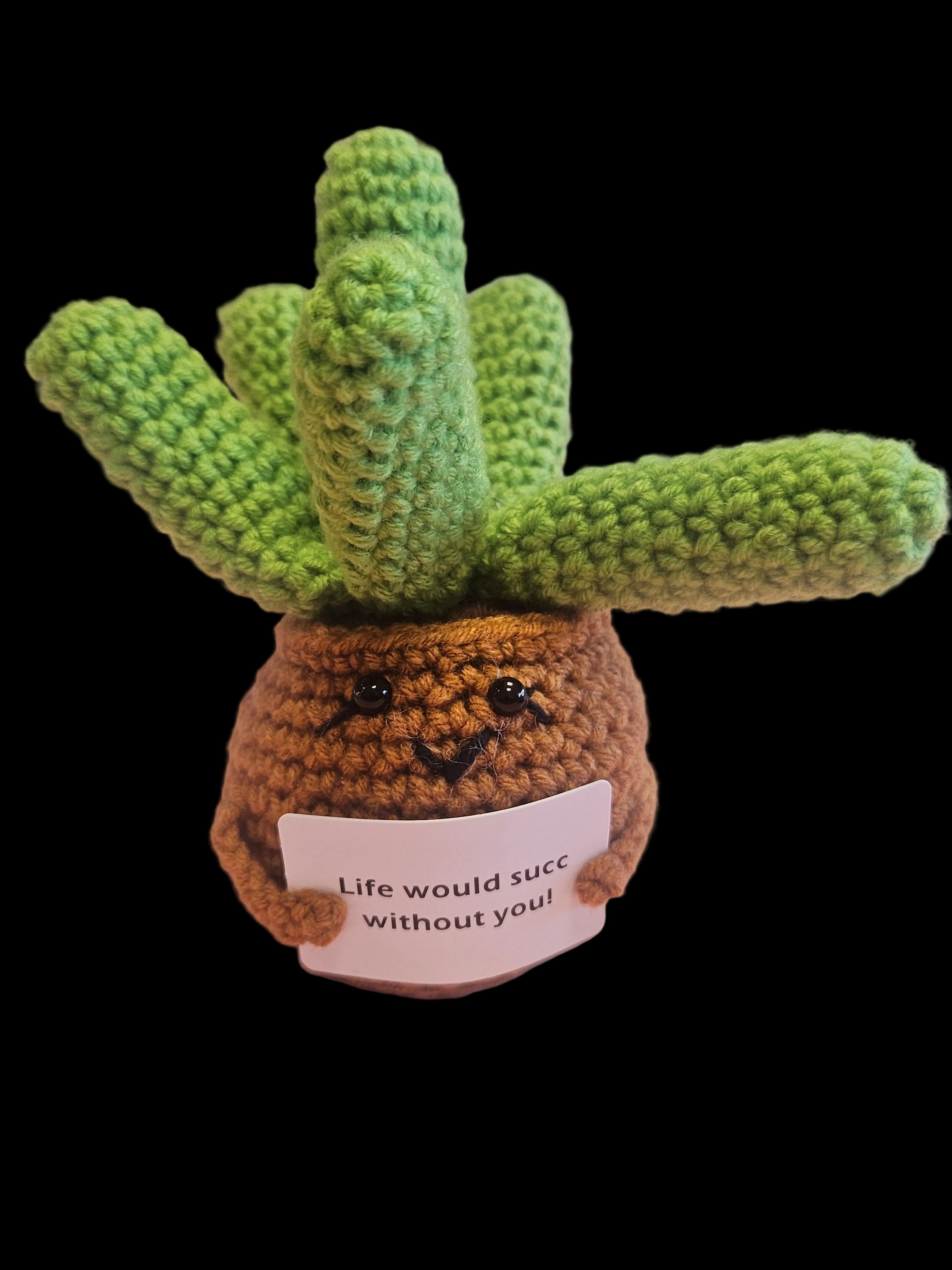 Succulent Crochet