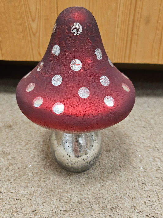 Glass Toadstool