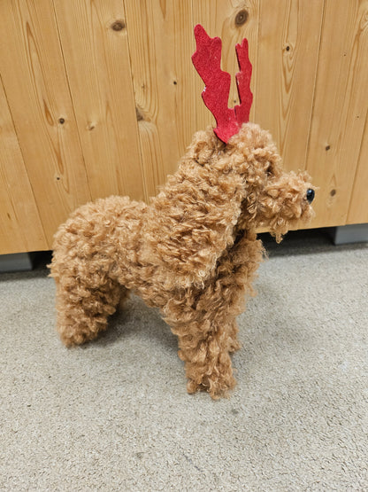 Reindeer Cockapoo